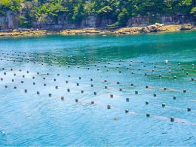 アコヤパールのふるさと日本